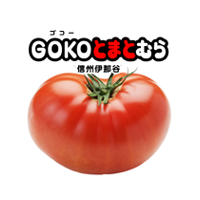 とまとページ 楽天市場】【ふるさと納税】【2026年先行受付】 トマト 大玉トマト