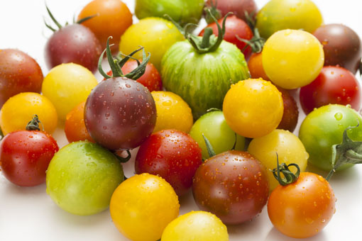 「ミニトマト　色々」の画像検索結果