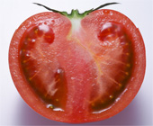 GOKO樹なり甘熟トマト