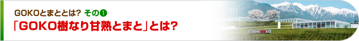 GOKO樹なり甘熟とまととは？