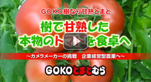 GOKOとまとむら紹介ビデオ