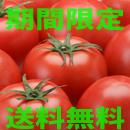 期間限定【送料無料】GOKO樹なり甘熟とまと(秀品)Aランク品 (お届けまでお日にちを頂くかもしれません)