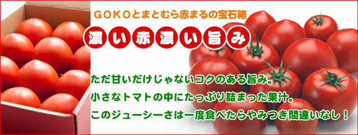 GOKOとまとむら赤まるの宝石箱