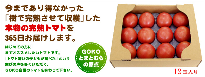 GOKO樹なり甘熟とまと『ハーフサイズ(12玉)』(秀品)Aランク品)
