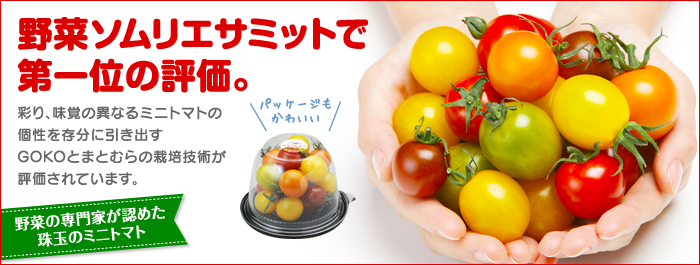 GOKO樹なり甘熟とまと『カラフルミニ』(4パック)