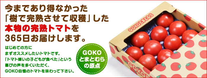 GOKO樹なり甘熟とまと(秀品)Aランク品