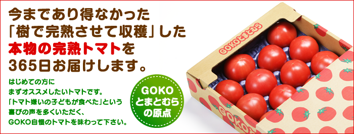 GOKO樹なり甘熟とまと【お値打ち】(ABランク品)